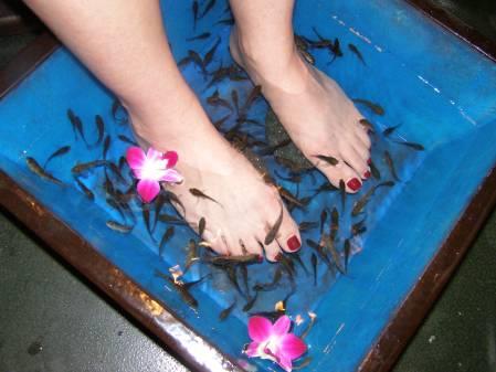 shut up and...FISH - 29070450337cache.jpg